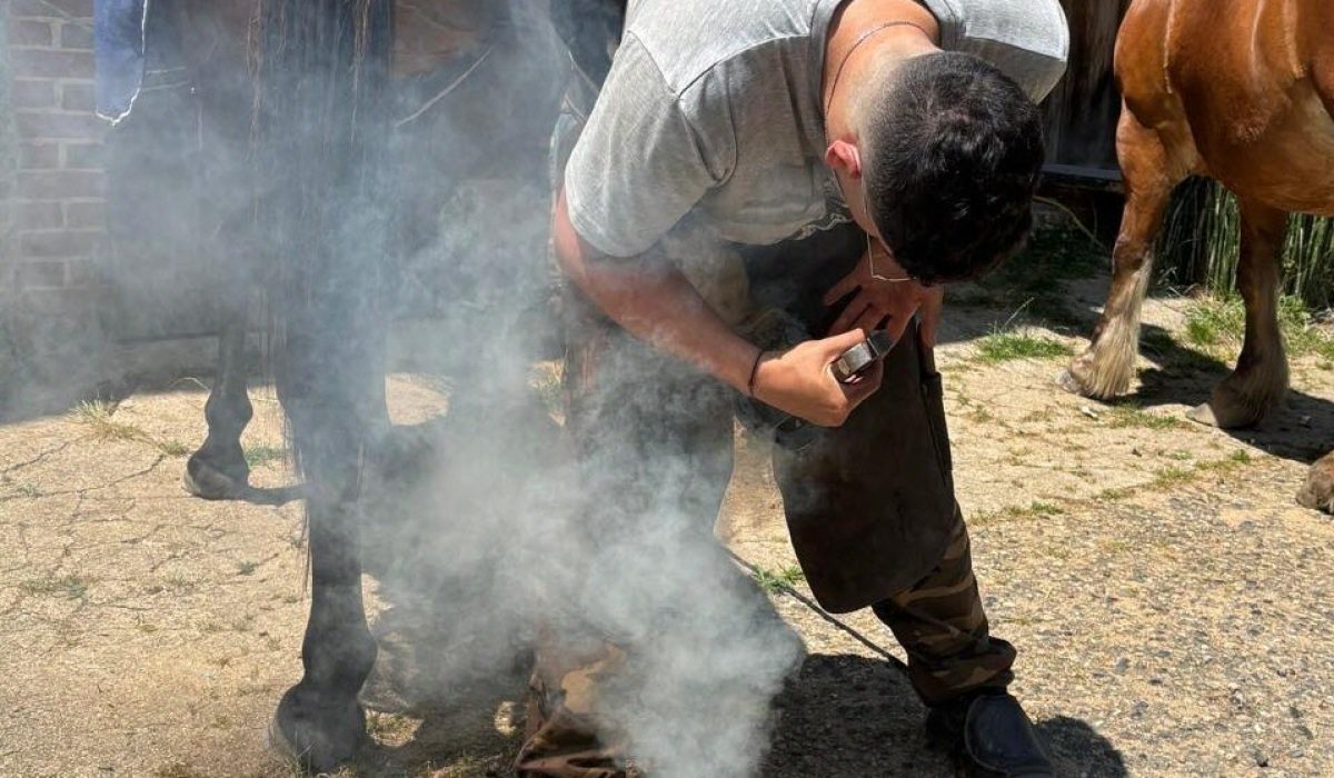 découvrez le métier de maréchal-ferrant : formation, missions, compétences requises et conseils pour réussir dans la ferronnerie équine. un artisanat essentiel pour le bien-être des chevaux.