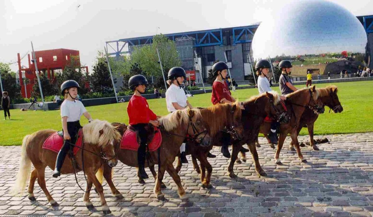 découvrez les meilleurs centres équestres à paris pour apprendre l'équitation, profiter de promenades à cheval et participer à des cours adaptés à tous les niveaux.