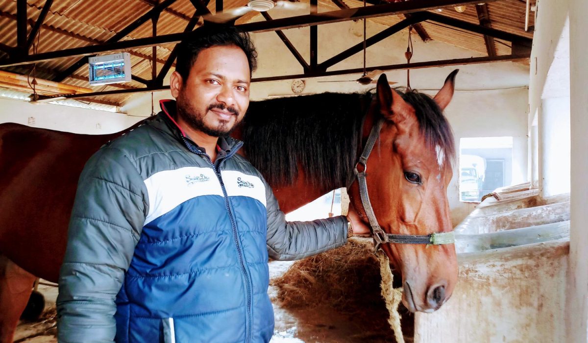 découvrez le métier de palefrenier : rôle, missions quotidiennes, compétences requises et formation pour travailler au contact des chevaux et assurer leur bien-être.