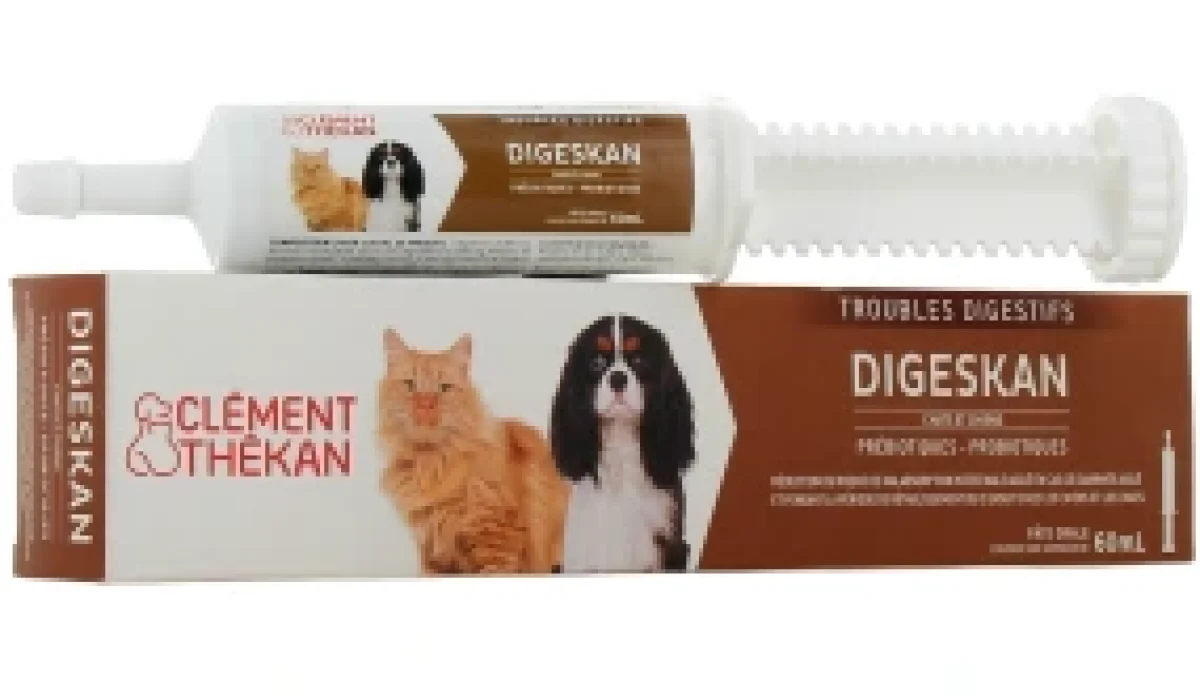 découvrez les usages et précautions du phosphaluvet pour chien : mode d'administration, bienfaits, effets secondaires et recommandations vétérinaires pour la santé digestive de votre animal.