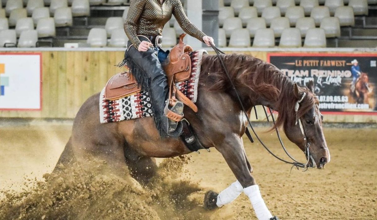 découvrez les bases du reining pour débutants : conseils, techniques simples et astuces pour démarrer facilement cette discipline équestre western.