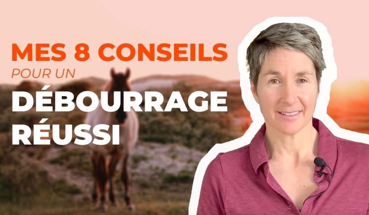 découvrez les meilleures techniques pour réussir le débourrage de votre cheval en douceur et efficacement, afin de garantir une relation de confiance et un apprentissage optimal.