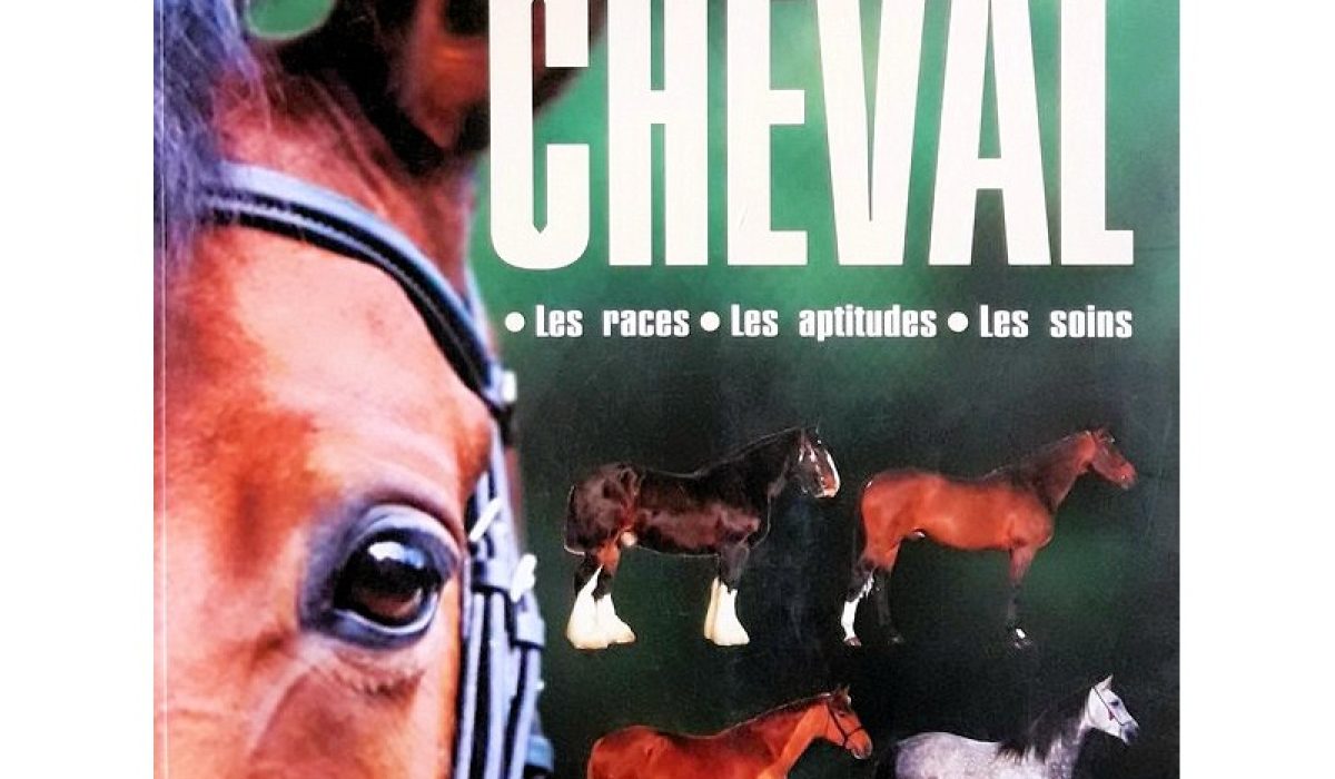 découvrez notre guide complet sur la saillie du cheval, incluant les meilleures pratiques, conseils d'experts et informations essentielles pour réussir la reproduction équine.