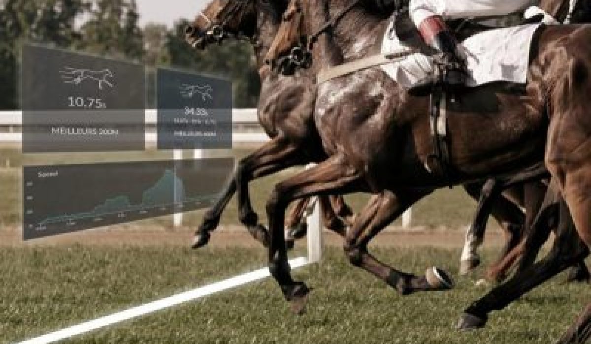 découvrez la vitesse maximale des chevaux et les facteurs qui influencent leurs performances, incluant l'âge, la race, l'entraînement et l'environnement.